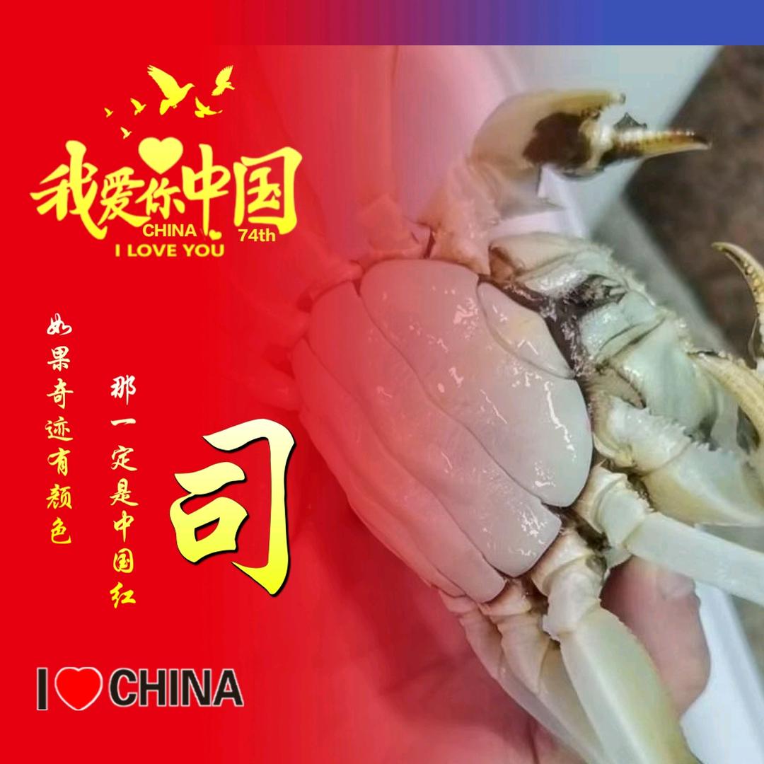 重庆市大足区五百亩大闸蟹小龙虾基地
