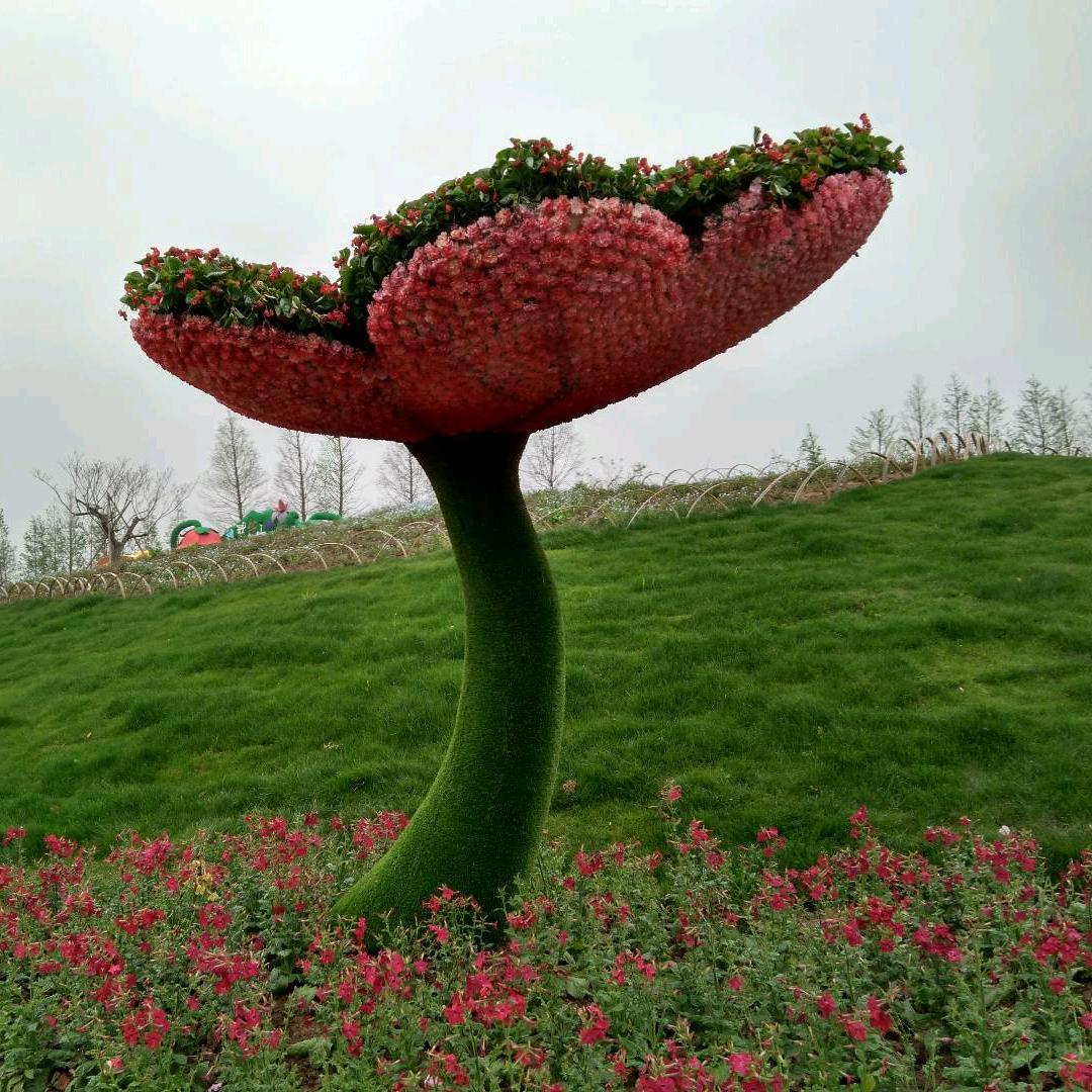 一帆风顺