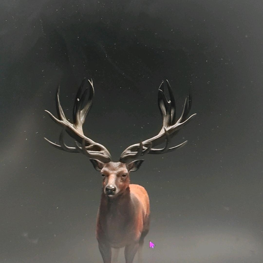 孙阳阳