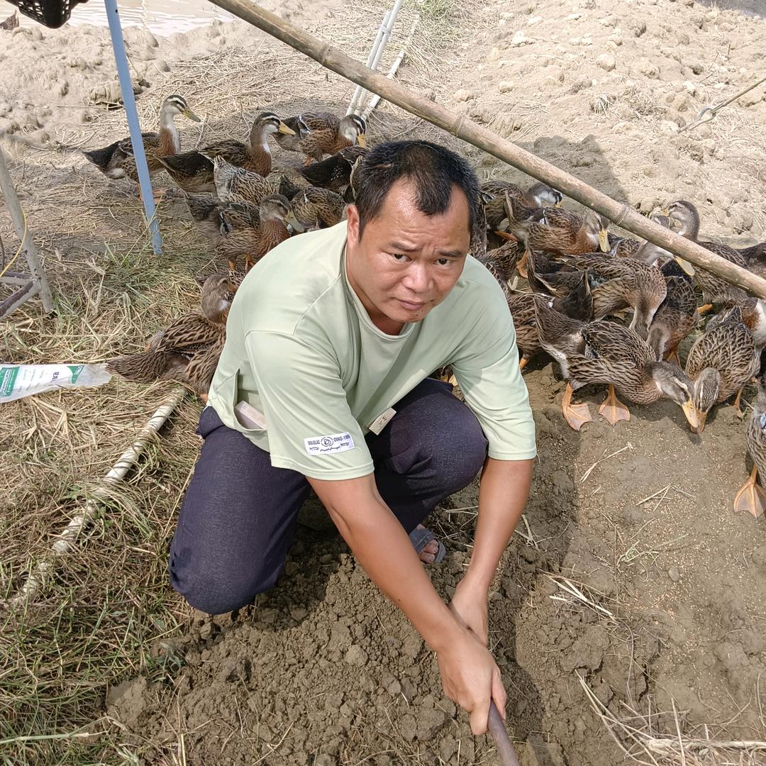 巨蚓哥《合作共赢》