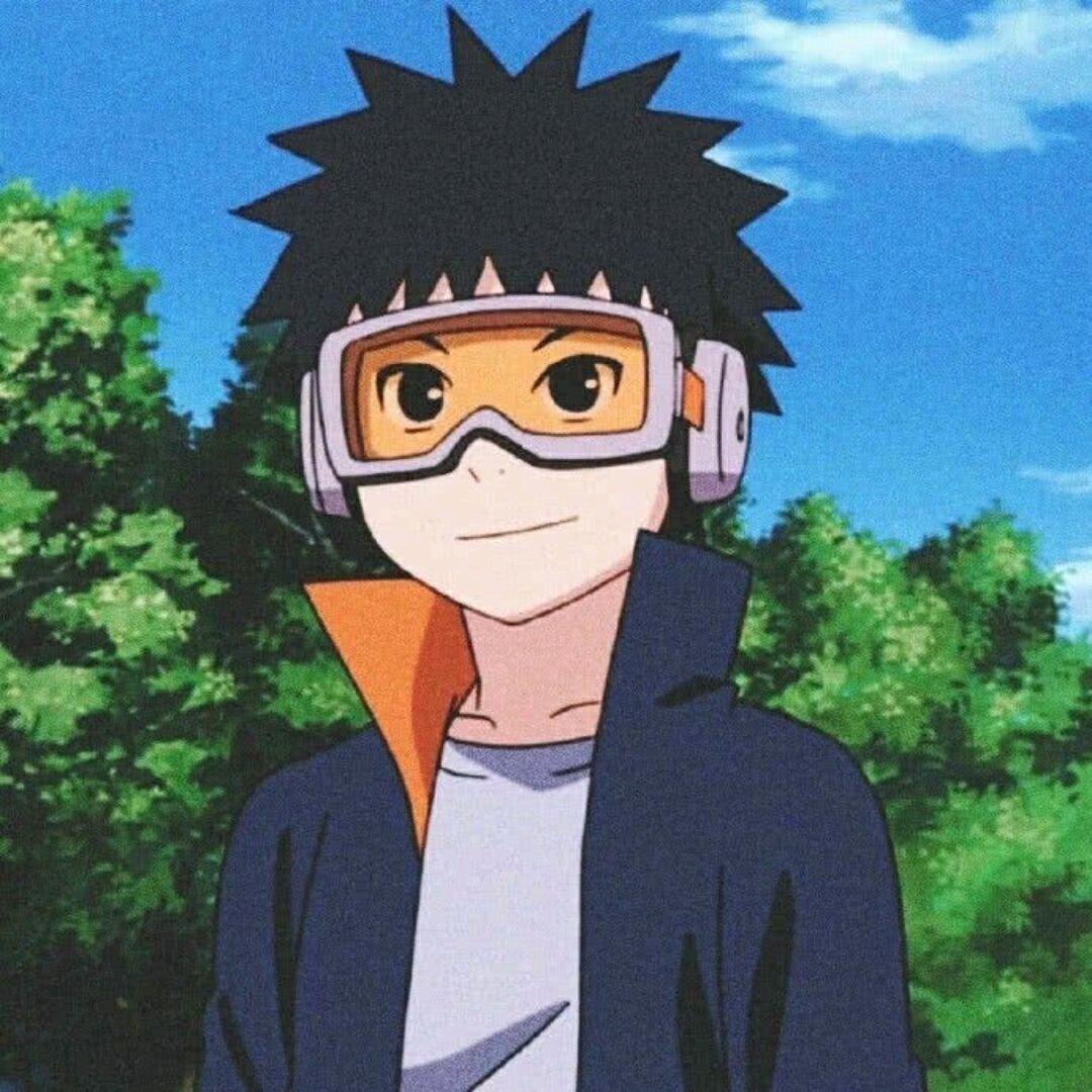 枫