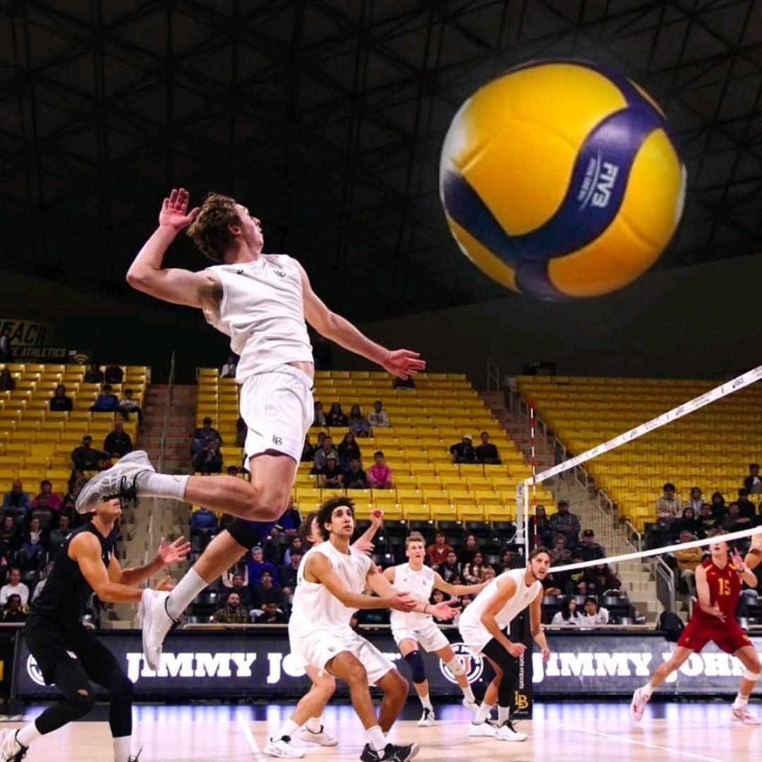 元符排球🏐