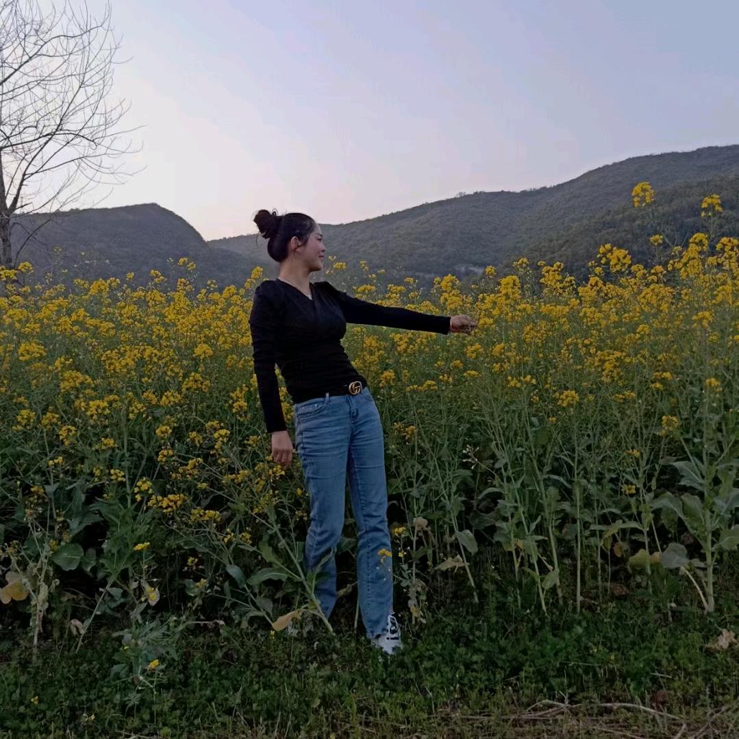 春天🌻