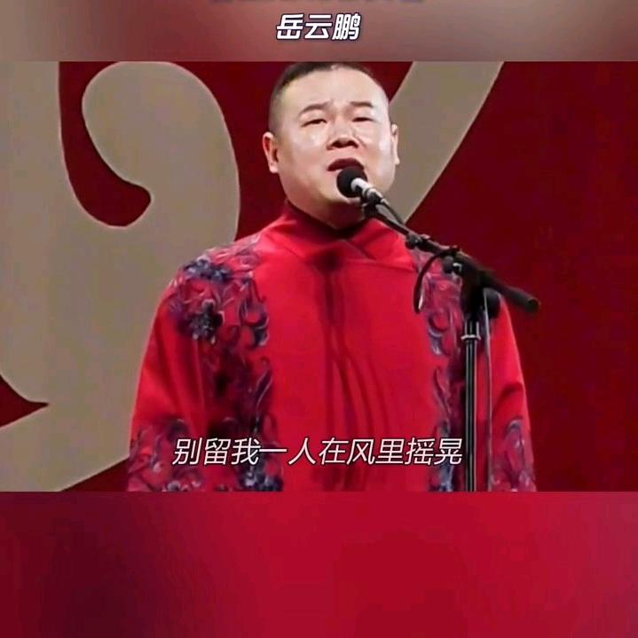 独在异乡为异客