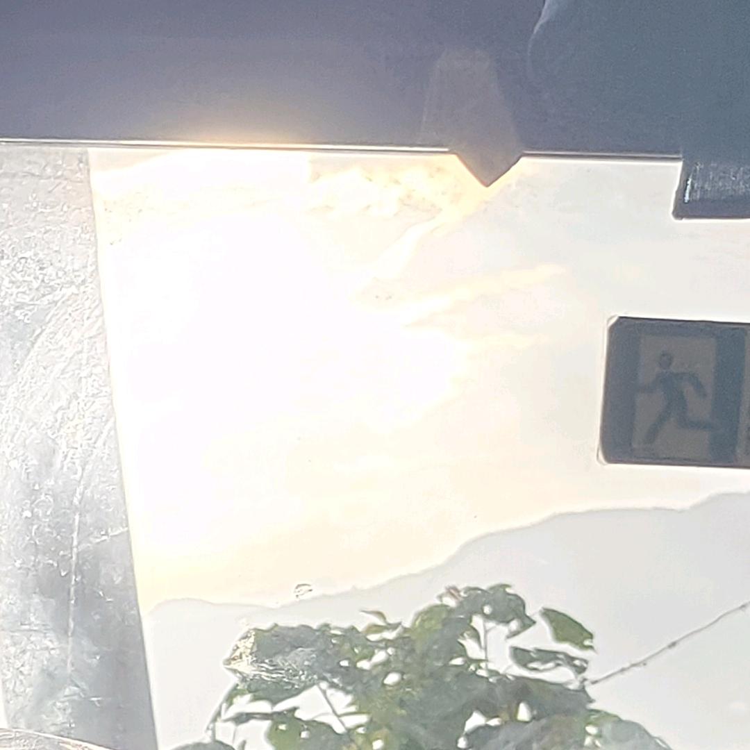 斋者