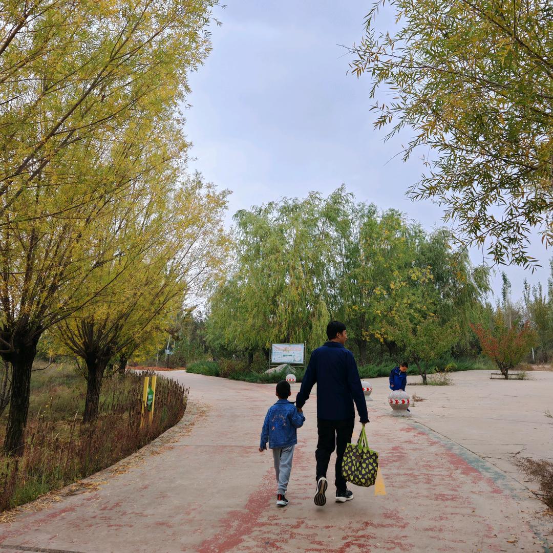 小猫🐱小狗🐶