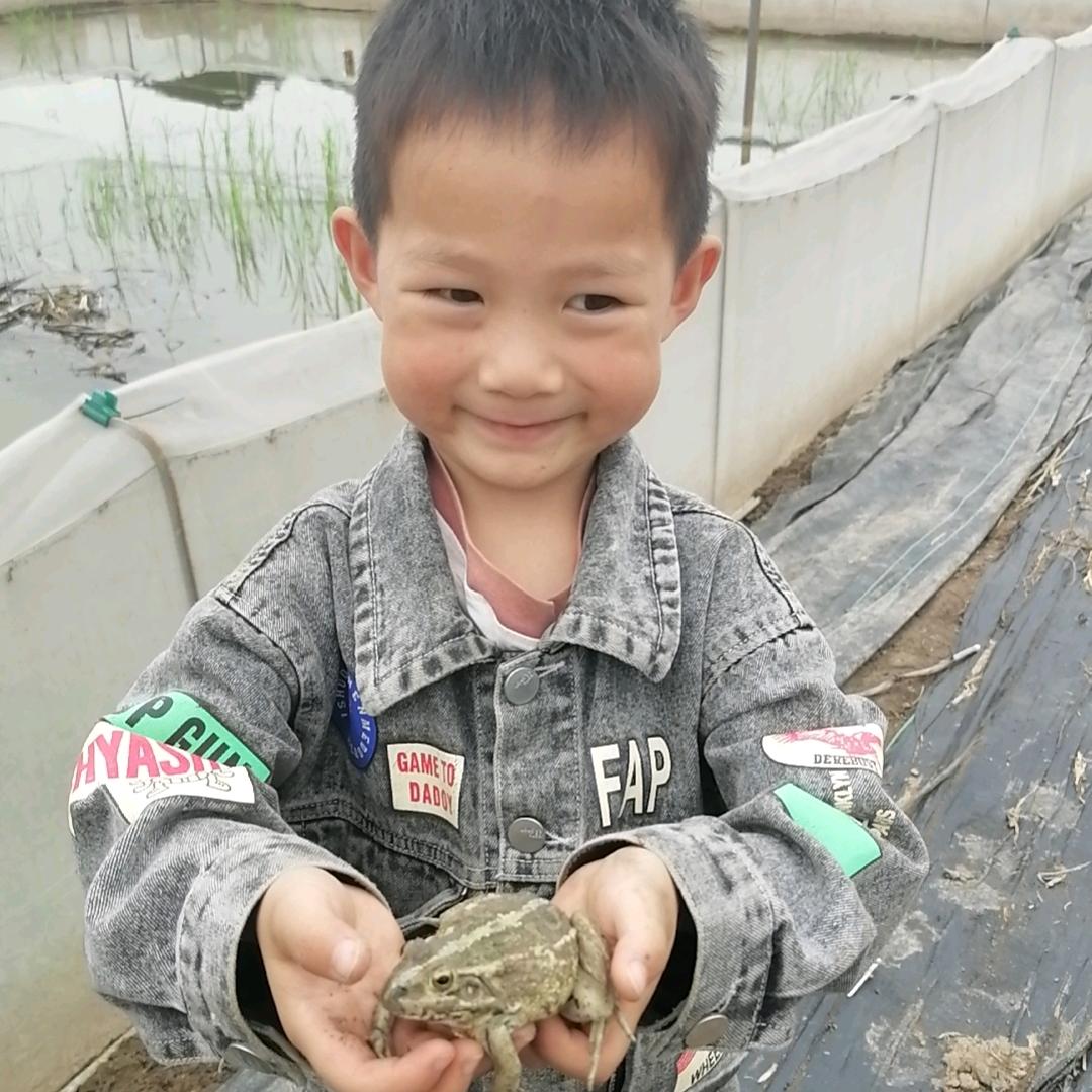 蛙小仔
