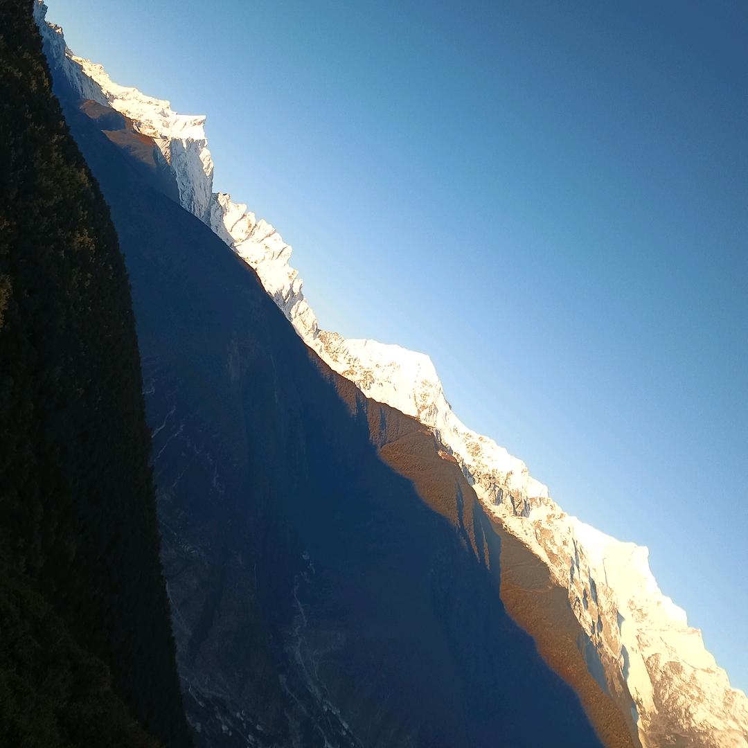 没人懂我