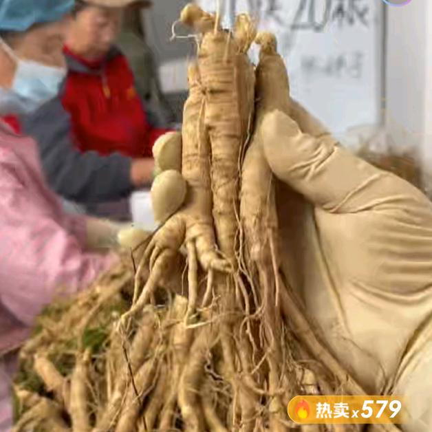 春夏秋冬土特产