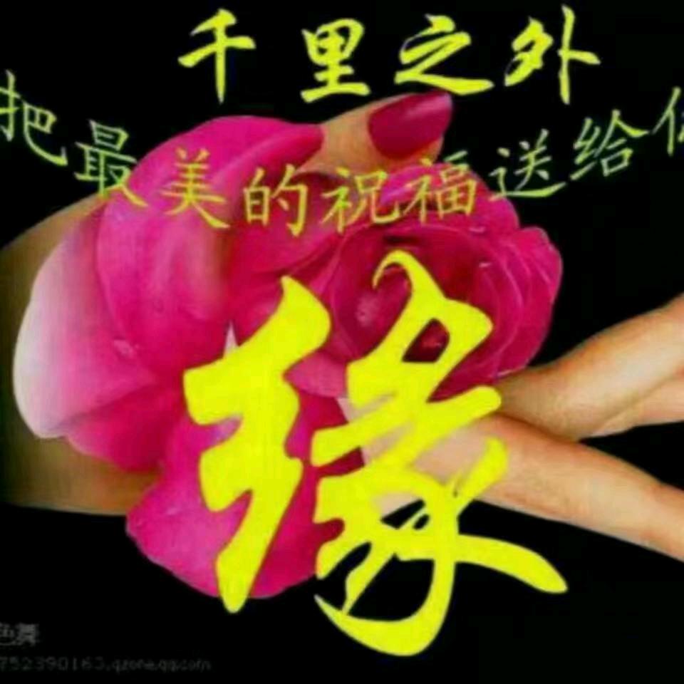 相识,是缘