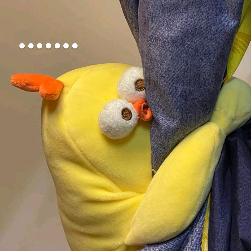 圈圈 Y