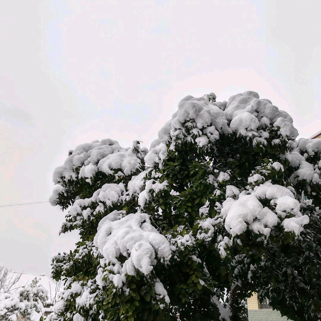 退后一步，海阔天空