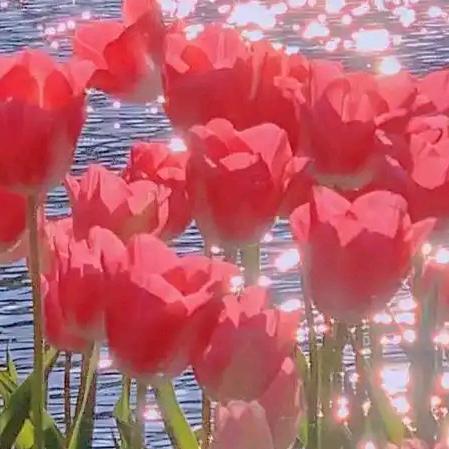 ꪋꪆ᭄夜空.💕下最亮的星