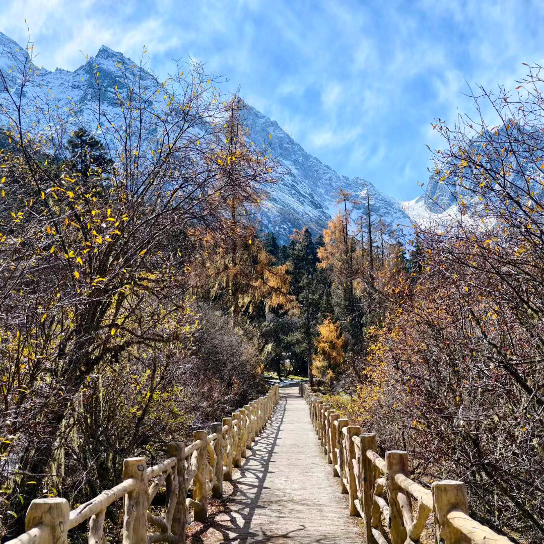 心碎后的沉默