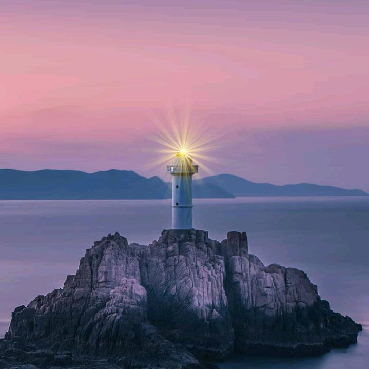 《别理我白嫖的》