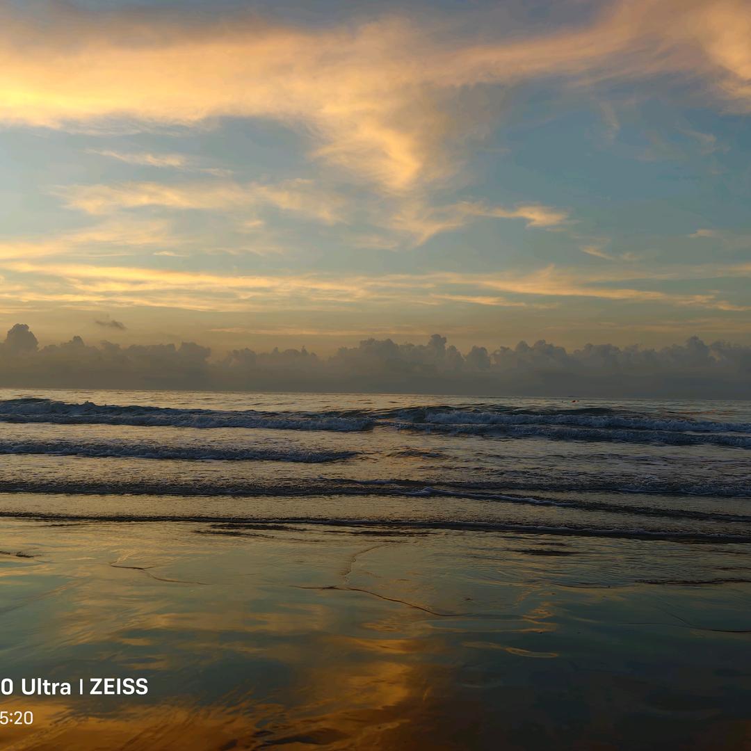 强子的生活日常