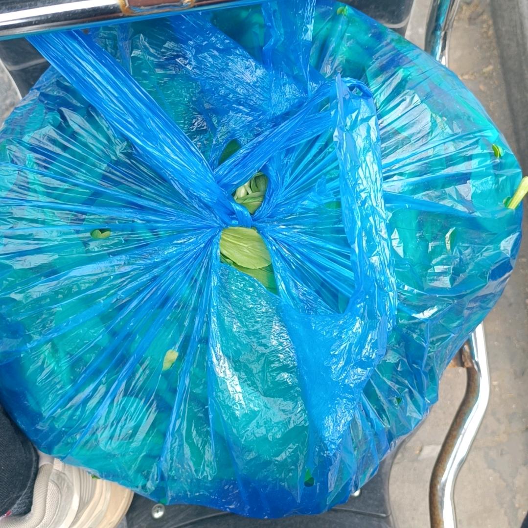 敬亭山网络科技