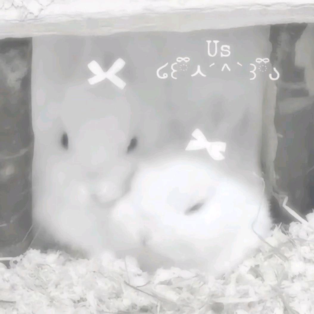 讴