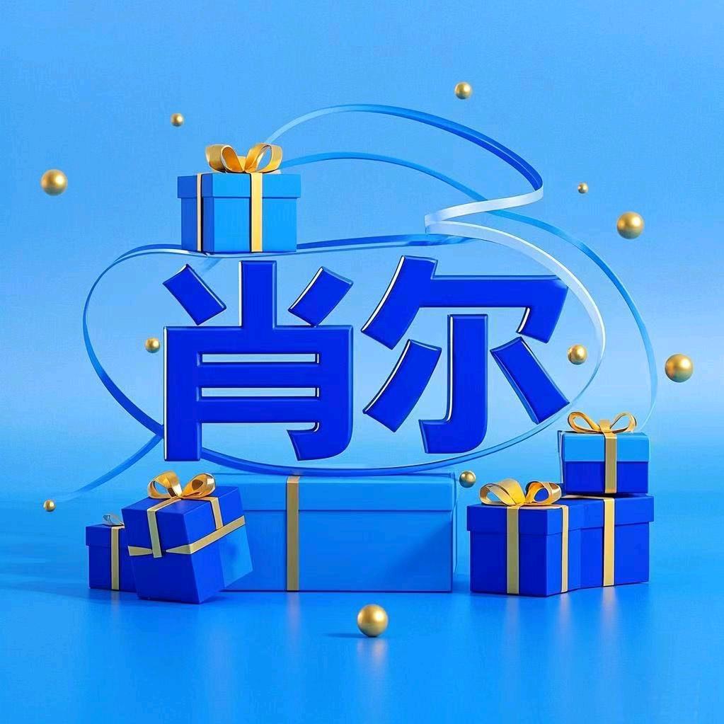 肖尔数码旗舰店