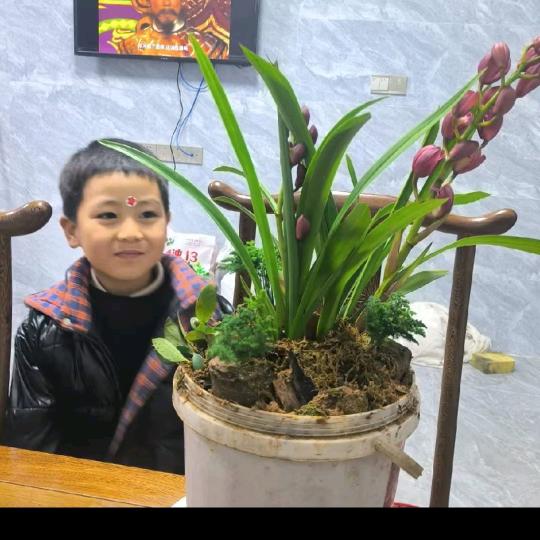 天若有情天亦老