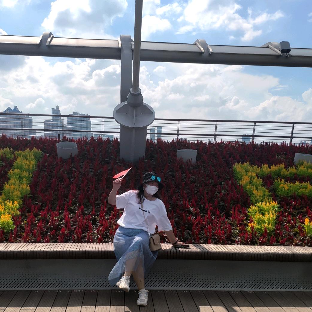 🌺云姐爱分享…