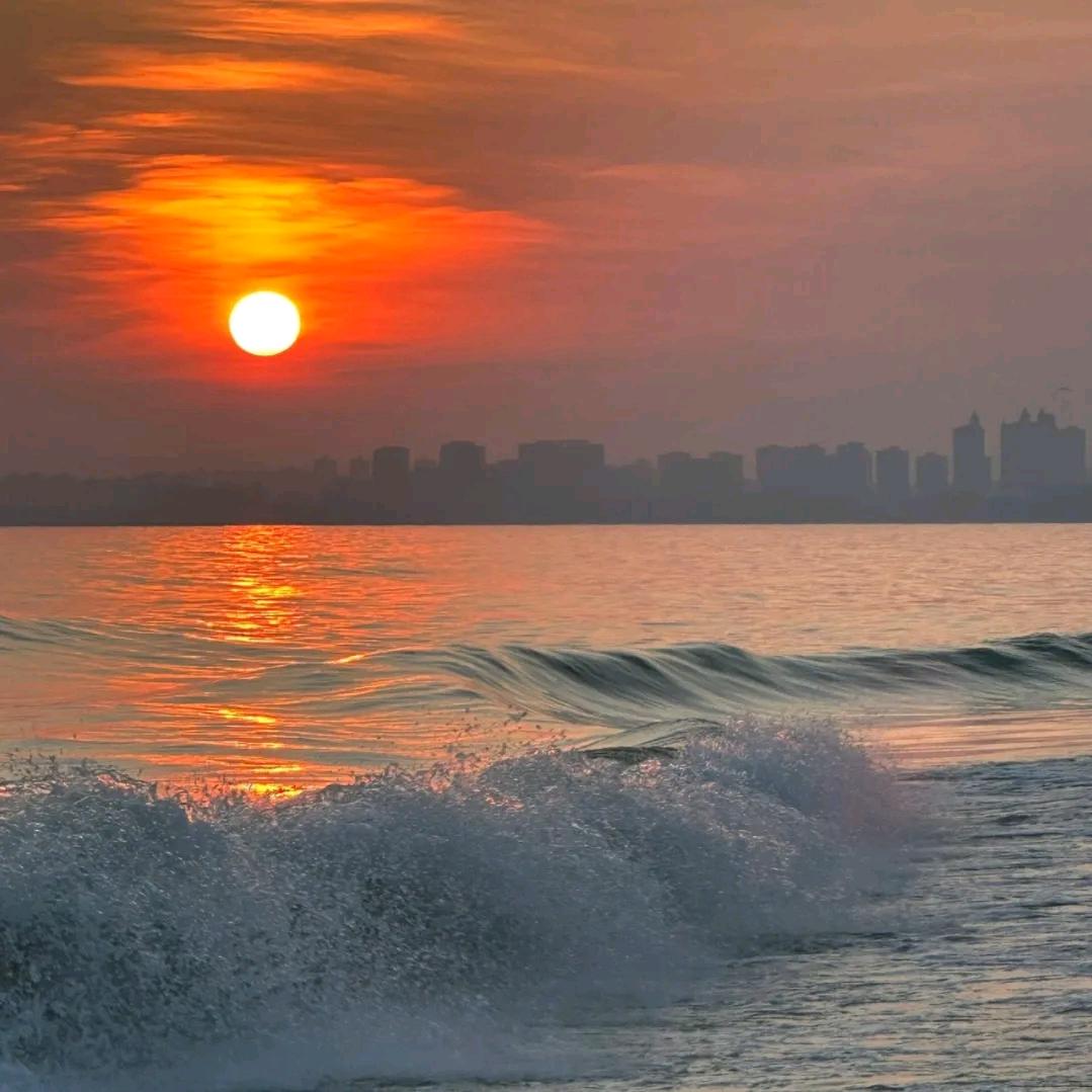 爱吃西瓜的小鱼