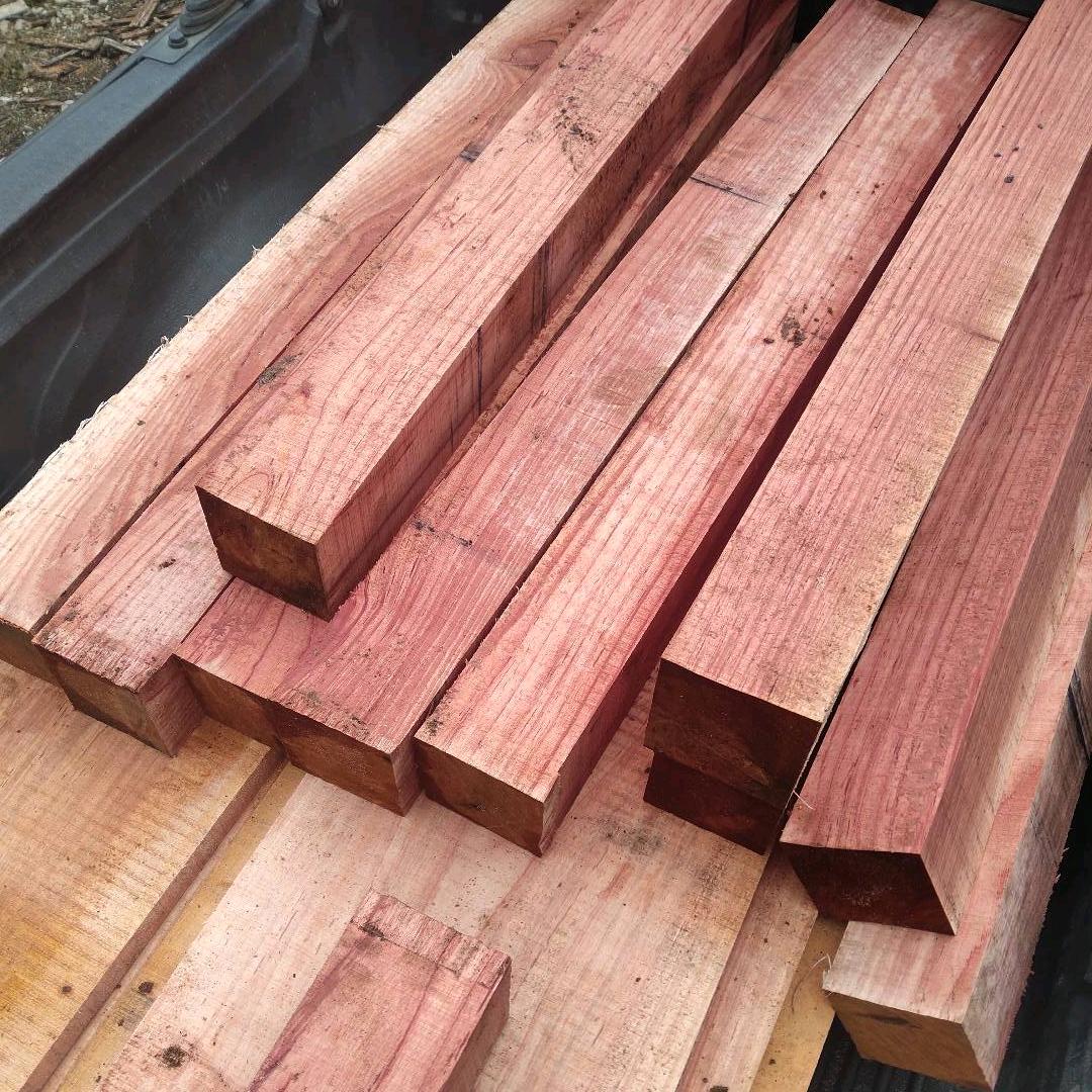 鱼的记忆精品民用材