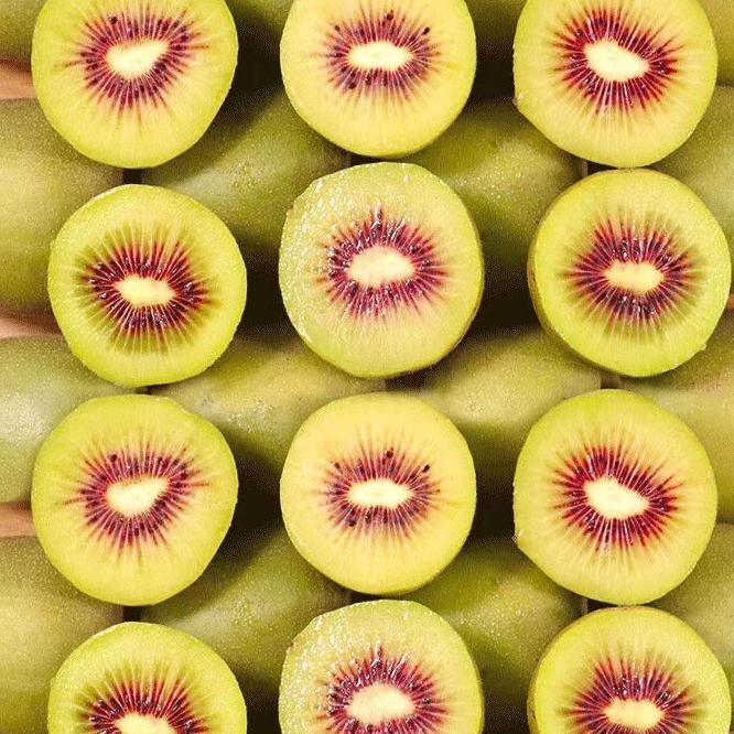 苍溪红心猕猴桃灵猫专卖店