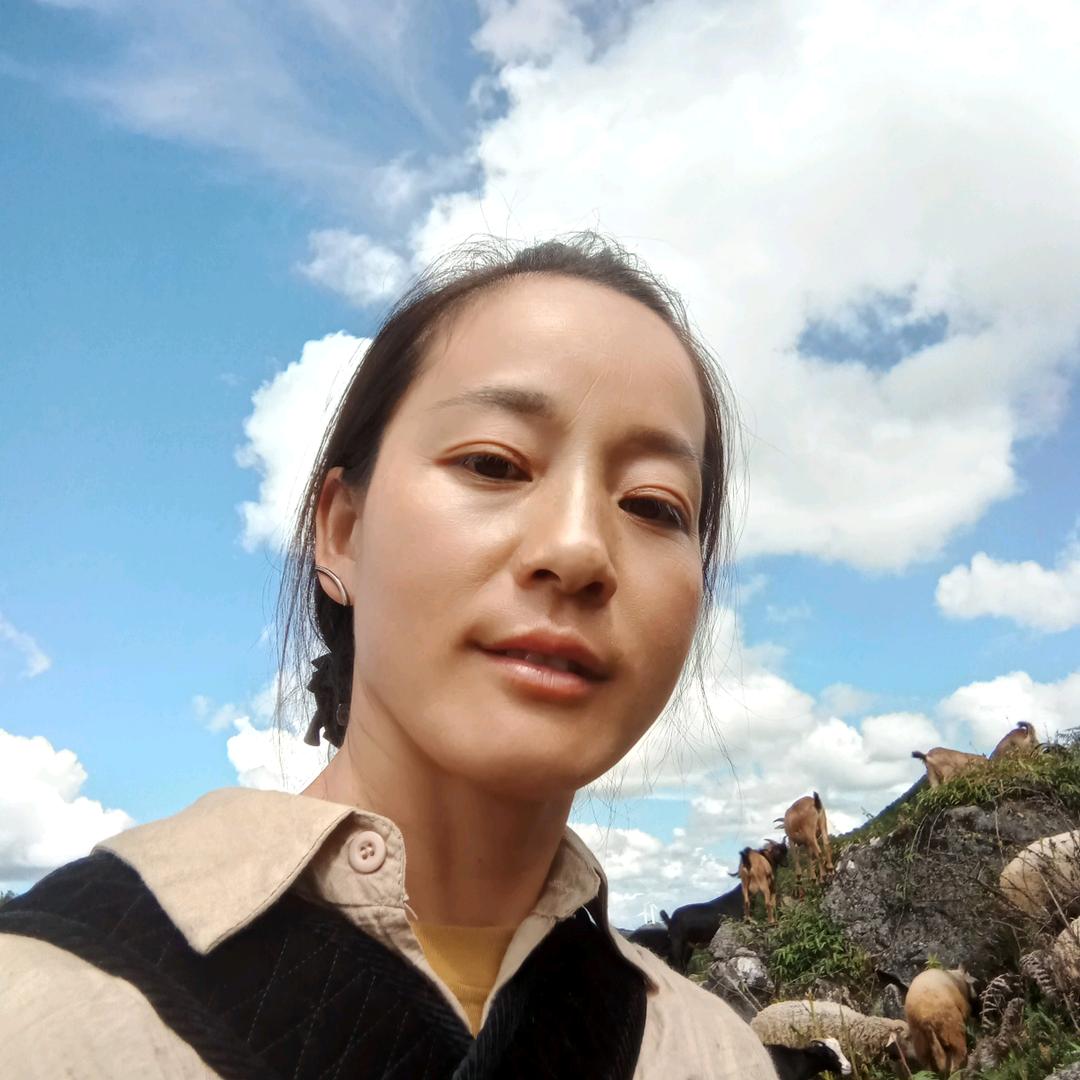 云南张梅