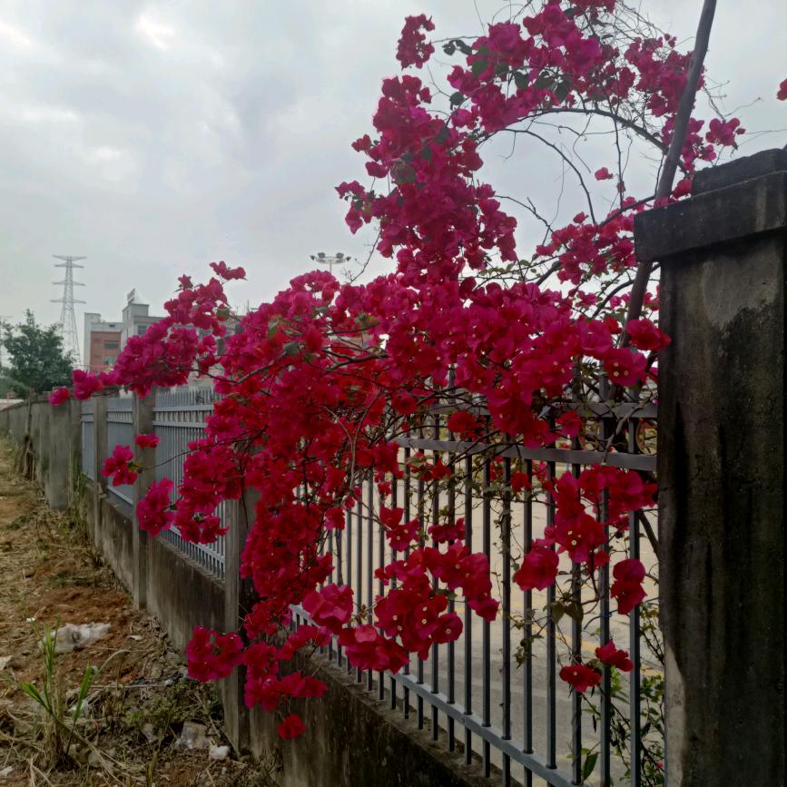 不说别人的坏话