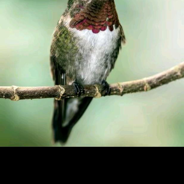 不忘初心，为你守着