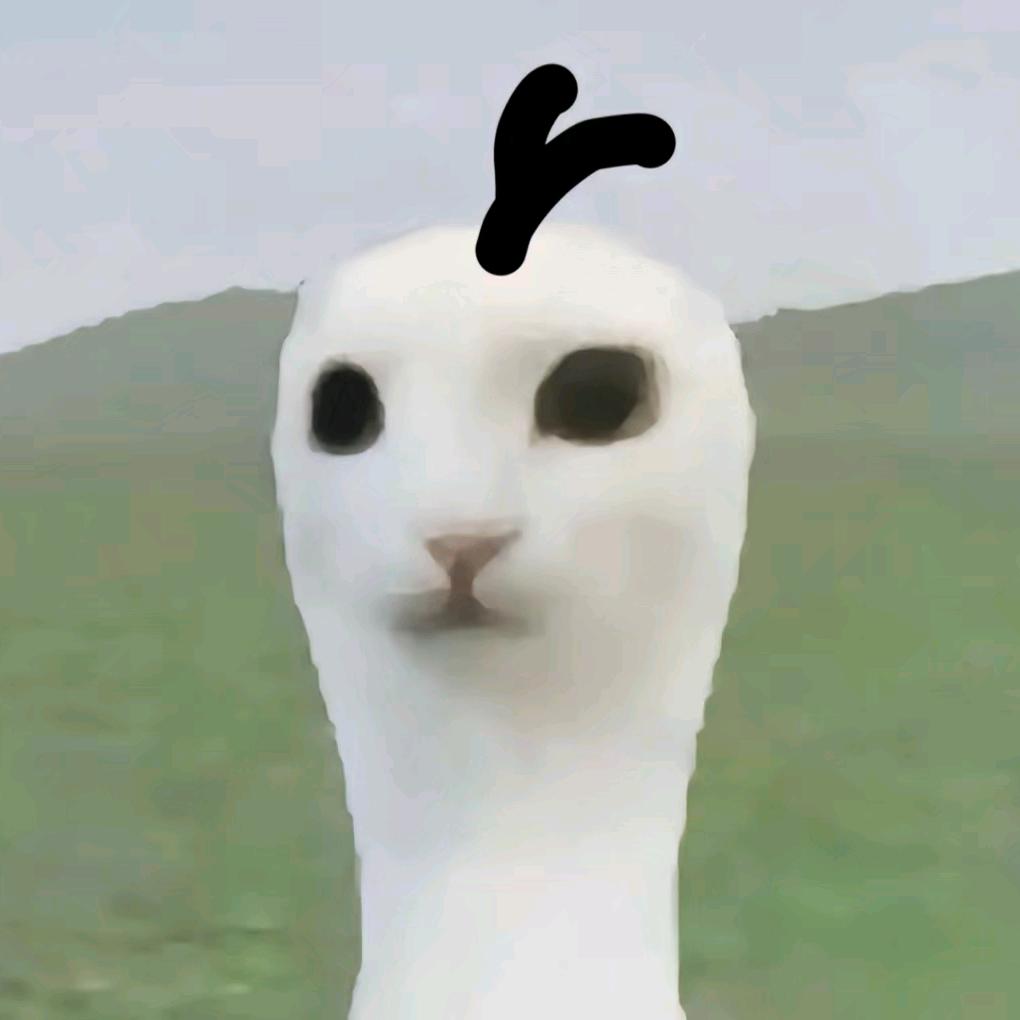 我要困告了^