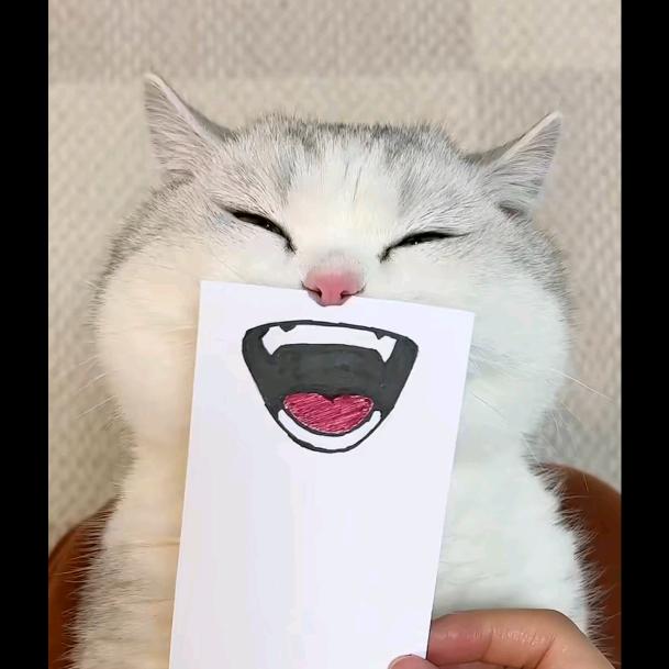 如月美容护肤店