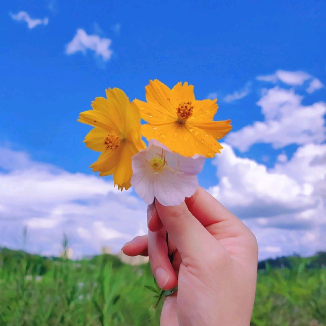 @娟子✨