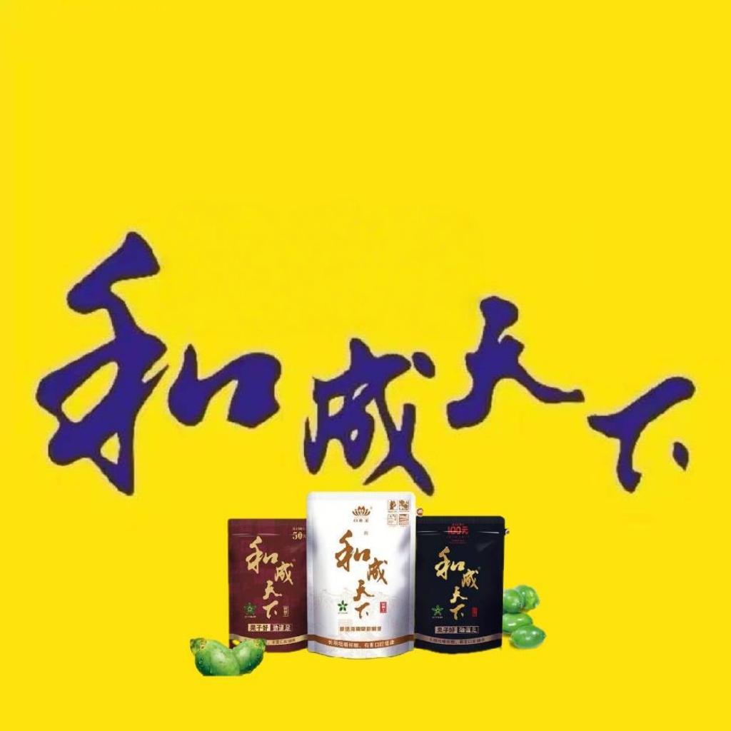 和成天下  总代理
