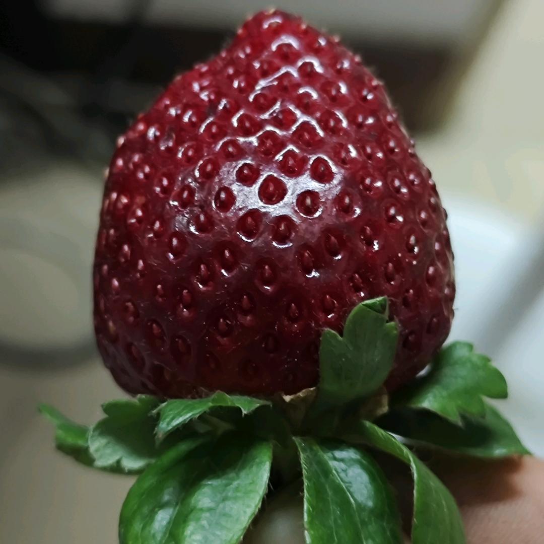 壹剪莓