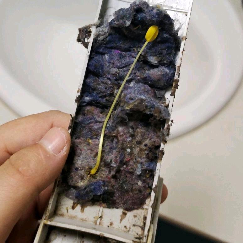 🤒惹卜起的娘4200🤪