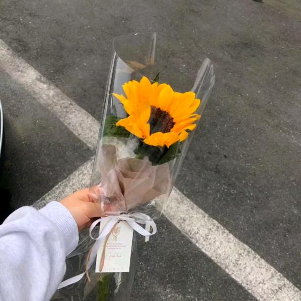 遇见彩虹吃定彩虹