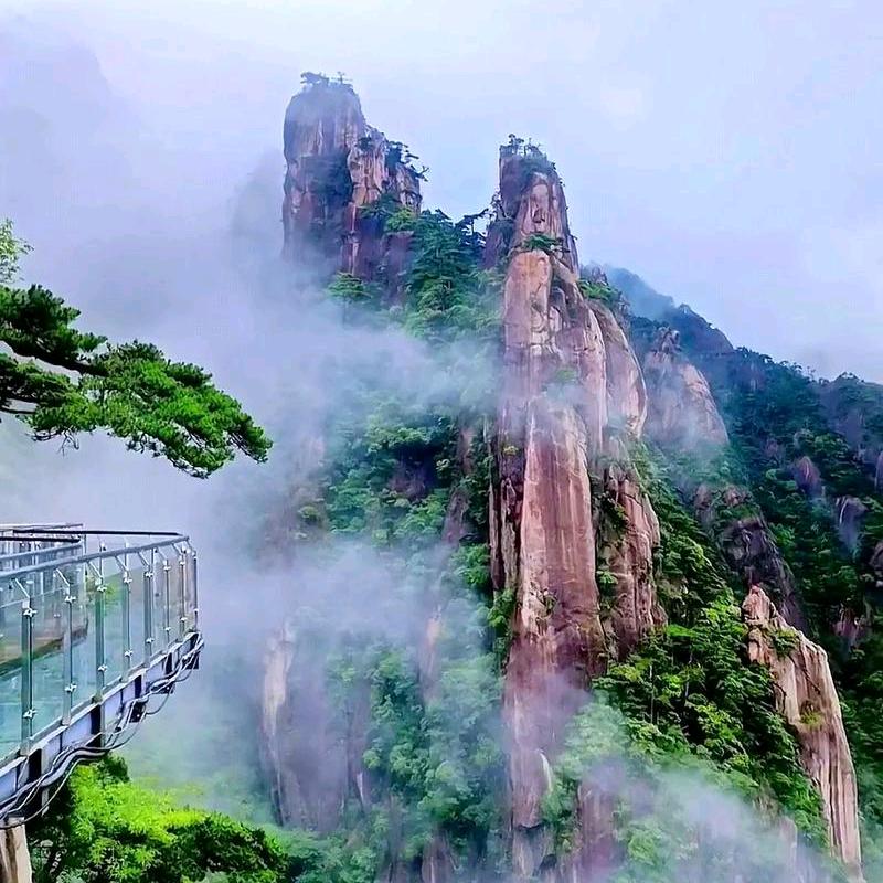 谢老师健康日记