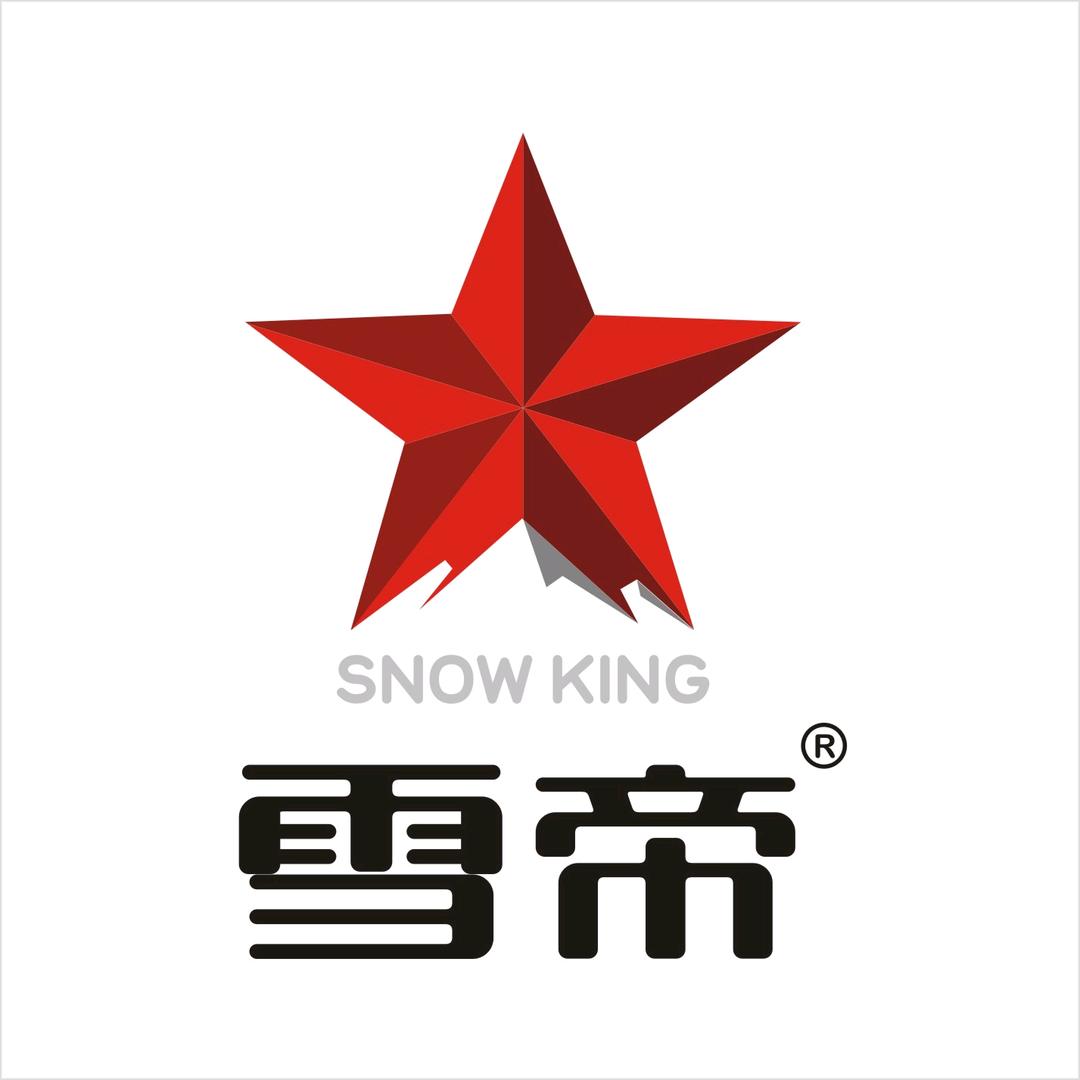 雪帝活酸砖冰淇淋（华东区营销中心）