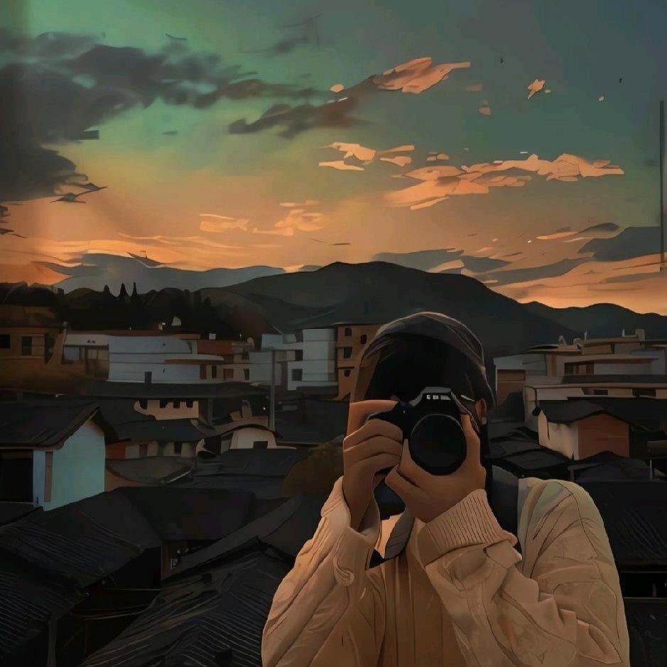 不是沈洋
