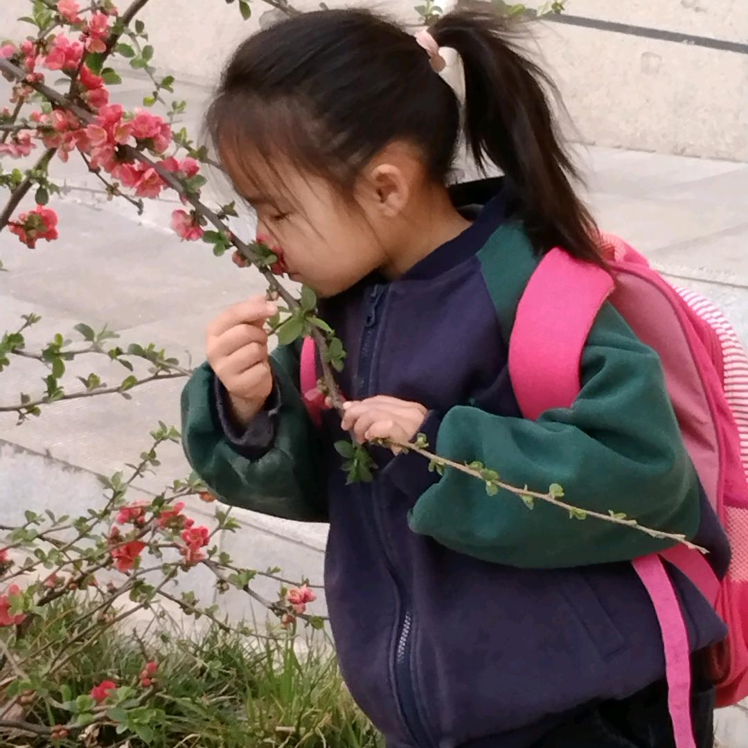 小伊.