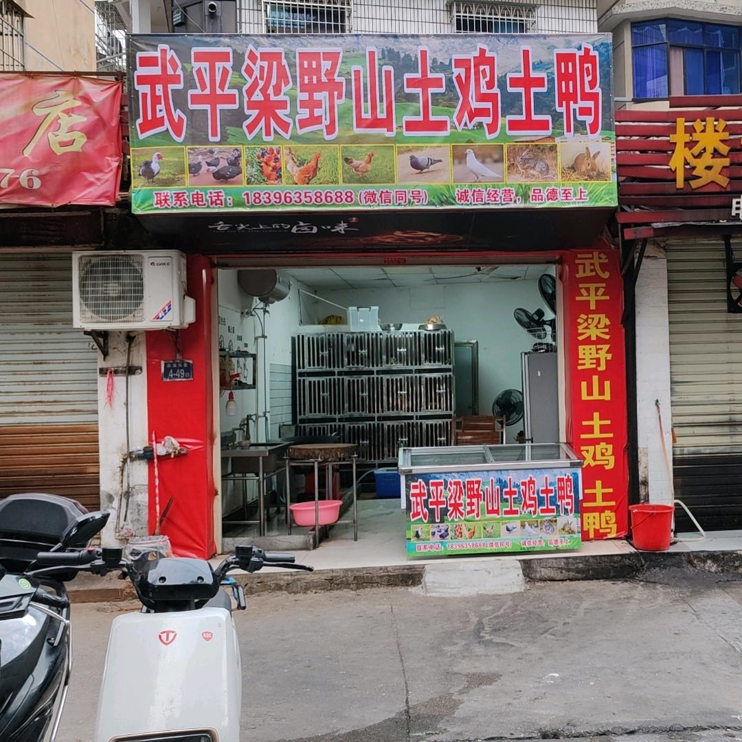 武平梁野山土鸡土鸭