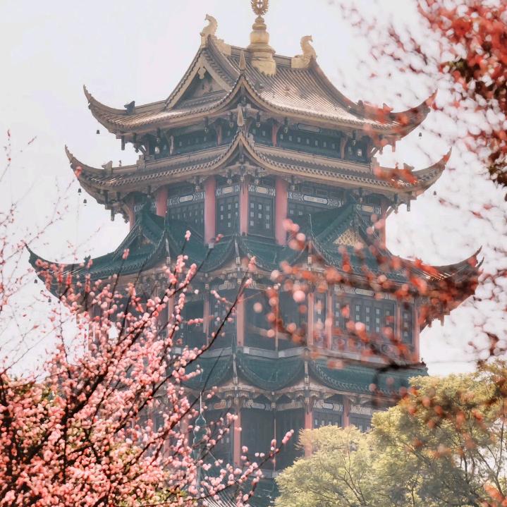 爱旅游～