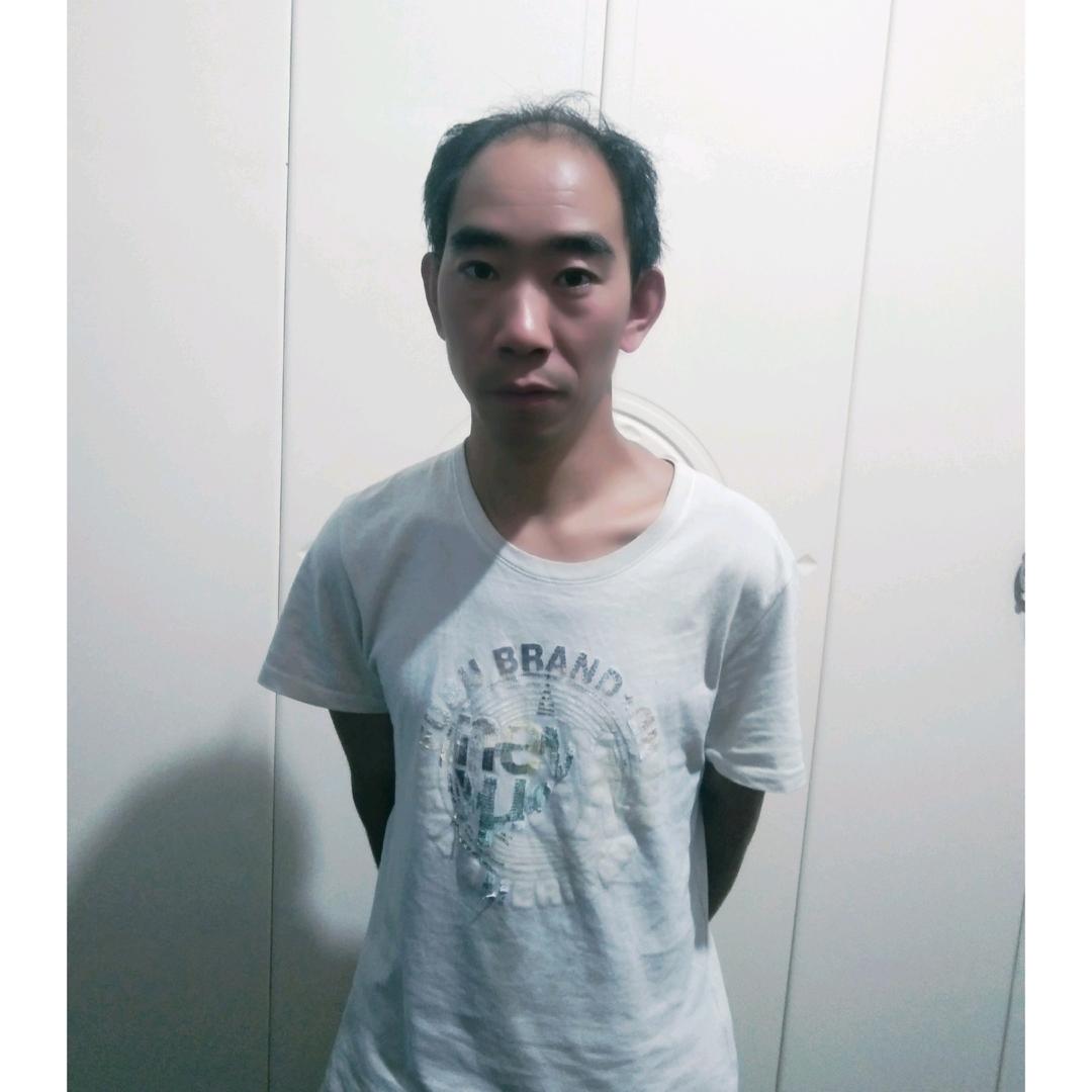 卧虎臧龙