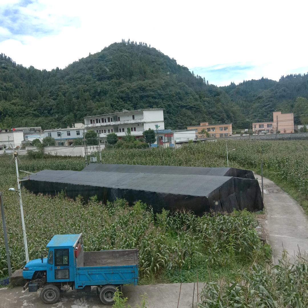 香菇种植，菌之源