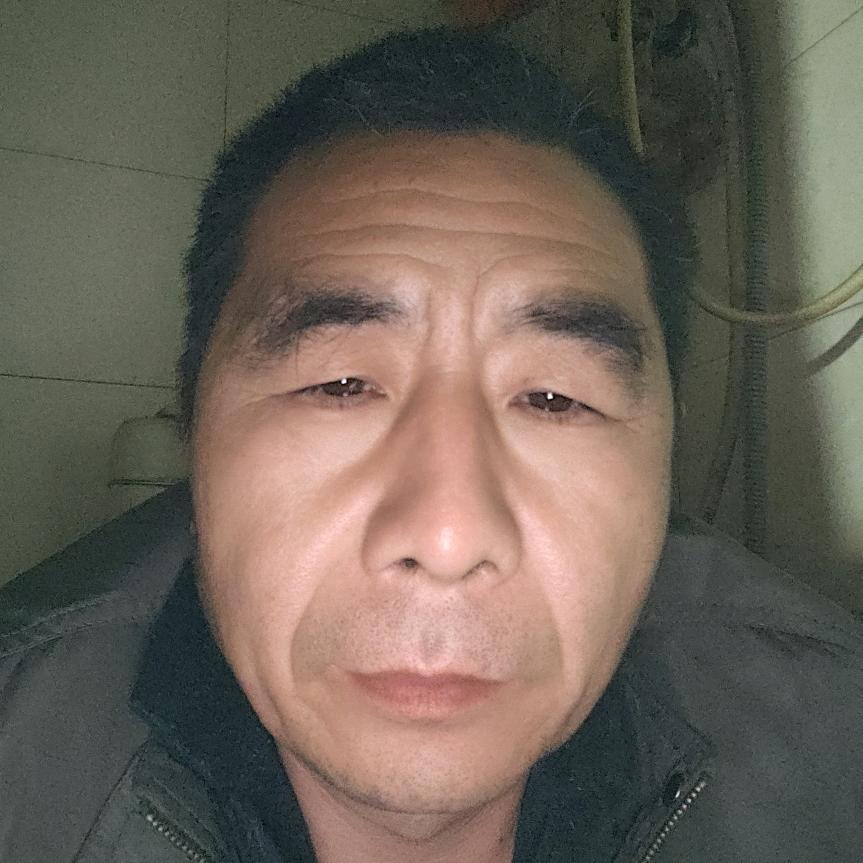 (缘分天空)老牛