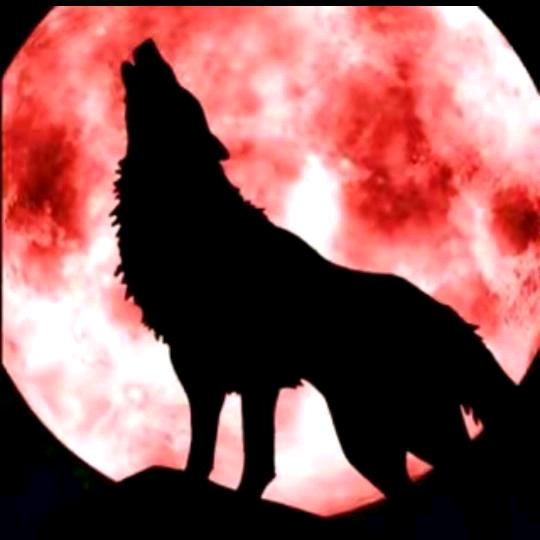 缘分天注定一切随缘