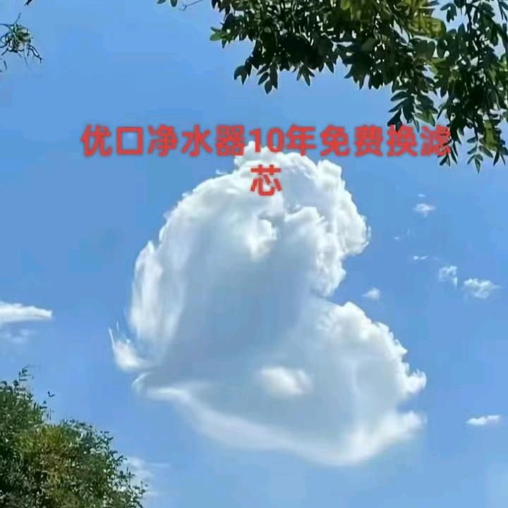 河南优口商贸玲姐