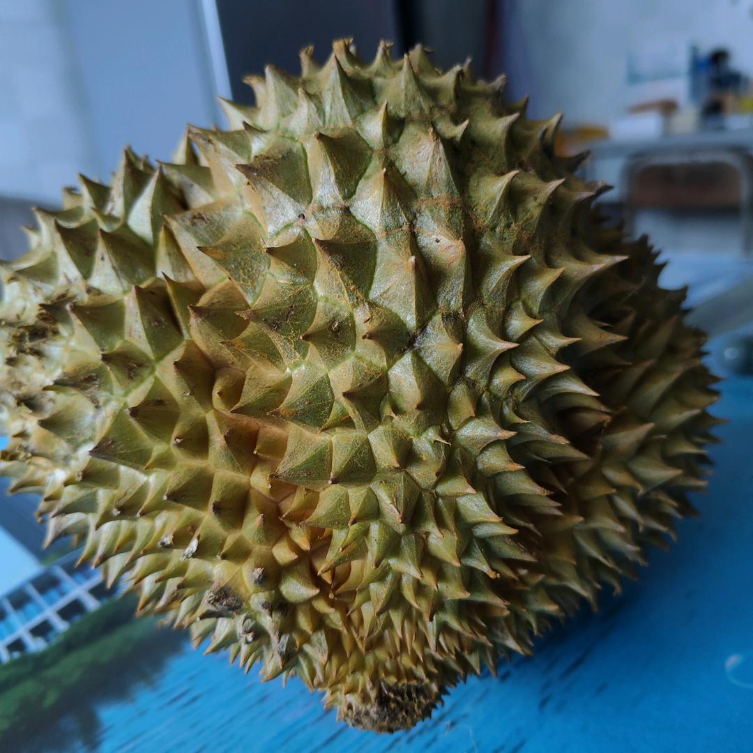 清风明月